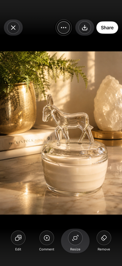 Jeanette Donkey | Apple Harvest